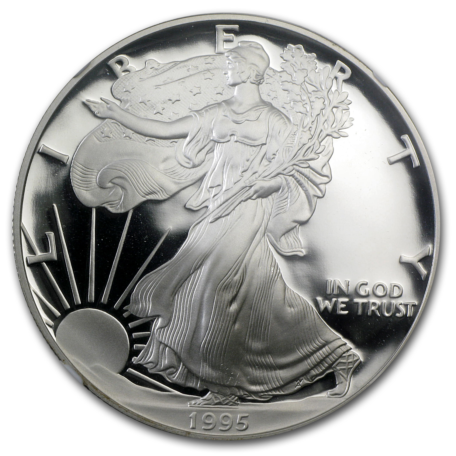 1995-W Proof American Silver Eagle PF-69 NGC | eBay